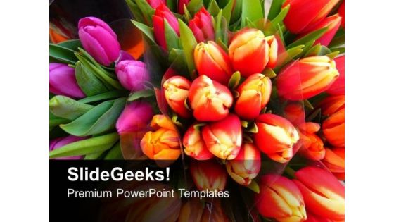 Colorful Tulips Flowers Beauty PowerPoint Templates Ppt Backgrounds For Slides 1212