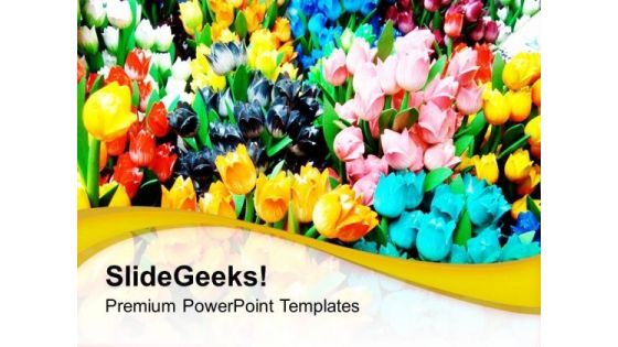 Colorful Tulips For Gifting Purpose PowerPoint Templates Ppt Backgrounds For Slides 0213