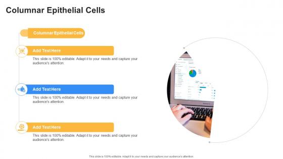 Columnar Epithelial Cells In Powerpoint And Google Slides Cpb