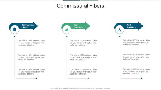 Commissural Fibers In Powerpoint And Google Slides Cpb