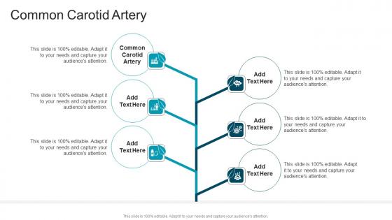 Common Carotid Artery In Powerpoint And Google Slides Cpb