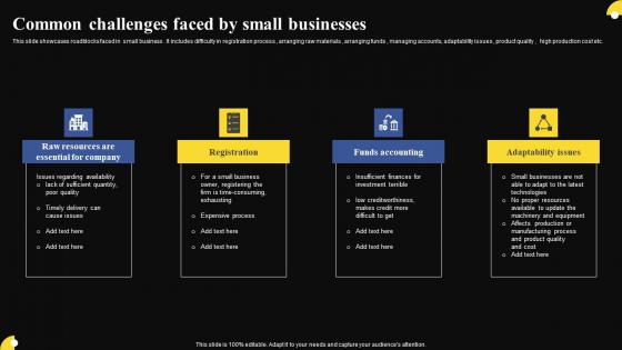 Common Challenges Faced By Small Businesses Professional Pdf