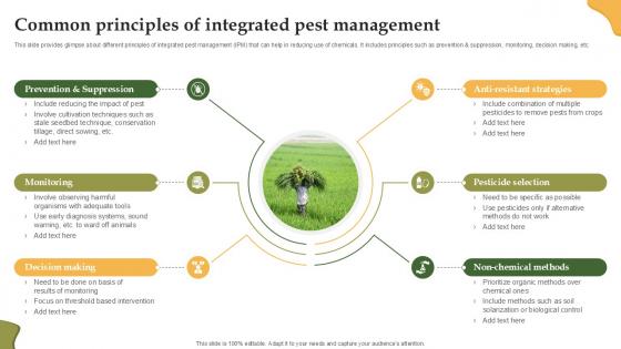 Common Principles Of Integrated Enhancing Productivity With Adoption PPT PowerPoint Common Principles Of Integrated Enhancing Productivity With Adoption PPT PowerPoint
