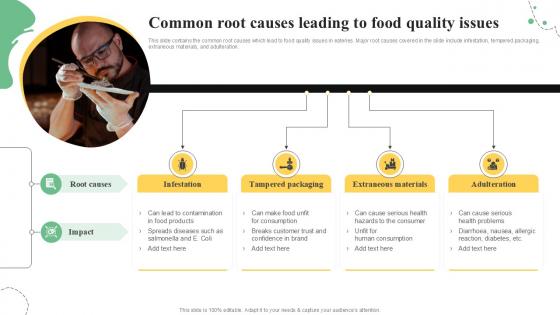 Common Root Causes Leading To Quality Control Guide For Food PPT Template Common Root Causes Leading To Quality Control Guide For Food PPT Template