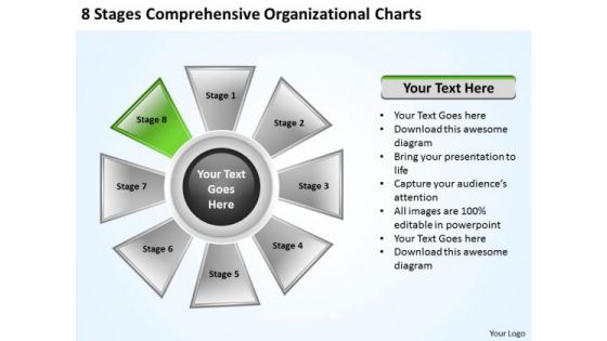 Company Business Strategy Comprehensive Organizational Charts Execution