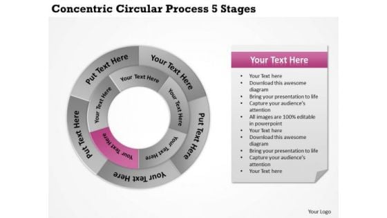 Company Business Strategy Concentric Circular Process 5 Stages Developing