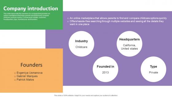 Company Introduction Carelulu Shareholders Fund Raising Pitch Deck Demonstration Pdf