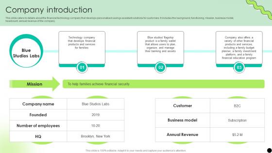Company Introduction Digital Payment Platform Pitch Deck