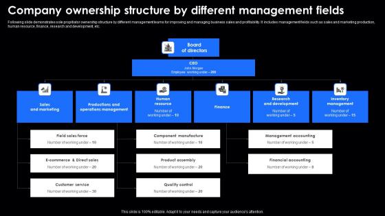Company Ownership Structure By Different Management Fields Demonstration Pdf