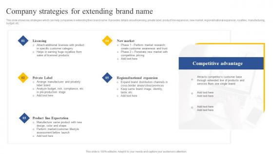 Company Strategies For Extending Brand Name How To Implement Product Download Pdf