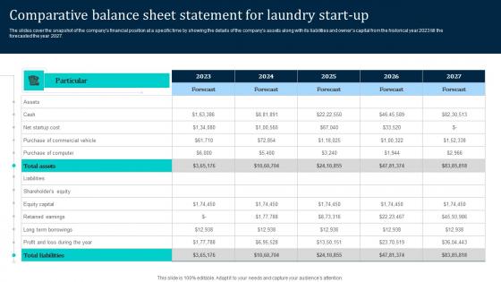 Comparative Balance Sheet Statement Laundromat Business Plan Go To Market Diagrams Pdf