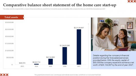 Comparative Balance Sheet Statement Of The In Home Care Business Plan Template Pdf