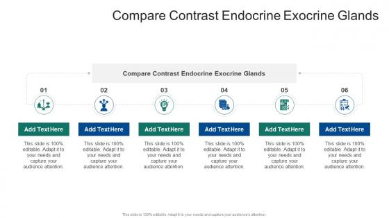 Compare Contrast Endocrine Exocrine Glands In Powerpoint And Google Slides Cpb