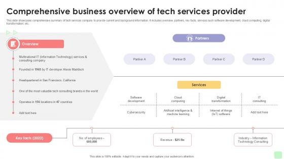 Comprehensive Business Overview Detailed Business Account PPT Example Strategy SS V Comprehensive Business Overview Detailed Business Account PPT Example Strategy SS V