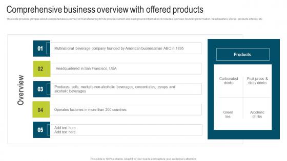 Comprehensive Business Overview Developing Extensive Plan For Operational Ideas Pdf