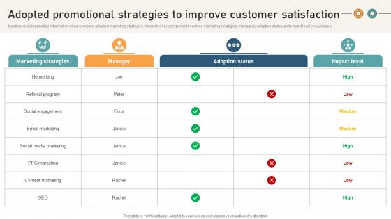 Comprehensive Guide For Website Adopted Promotional Strategies To Improve Customer