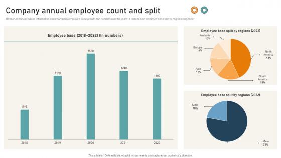Comprehensive Guide For Website Company Annual Employee Count And Split