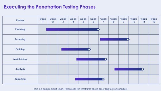 Comprehensive Penetration Testing Program Overview PPT Mockup AT Slide14