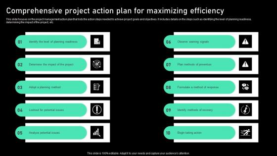Comprehensive Project Action Plan For Maximizing Efficiency Rules Pdf