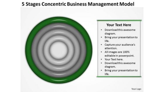 Concentric Business Managment Model Ppt Plan Preparation Service PowerPoint Templates