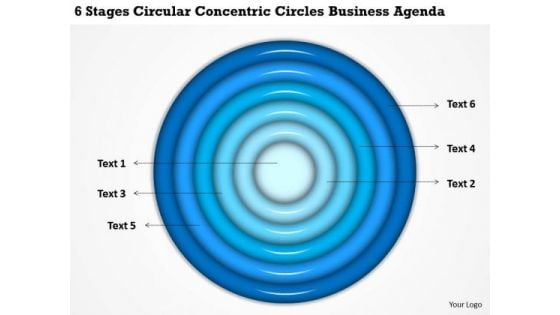 Concentric Circles Business Agenda Examples Of Plan Outline PowerPoint Slides