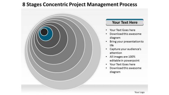 Concentric Project Management Process Company Business Plan PowerPoint Templates