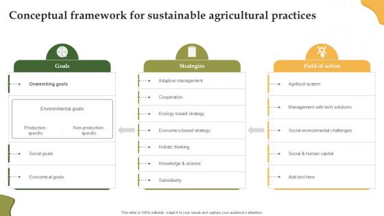 Conceptual Framework For Sustainable Enhancing Productivity With Adoption PPT Slide Conceptual Framework For Sustainable Enhancing Productivity With Adoption PPT Slide