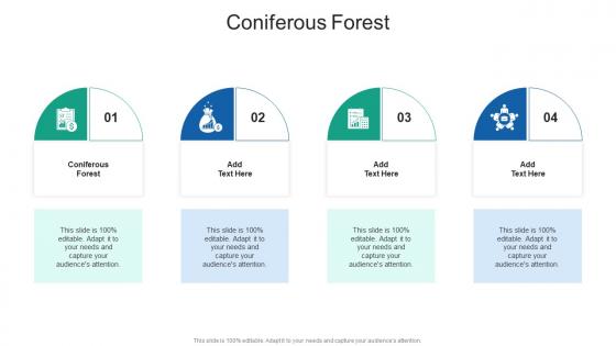 Coniferous Forest In Powerpoint And Google Slides Cpb