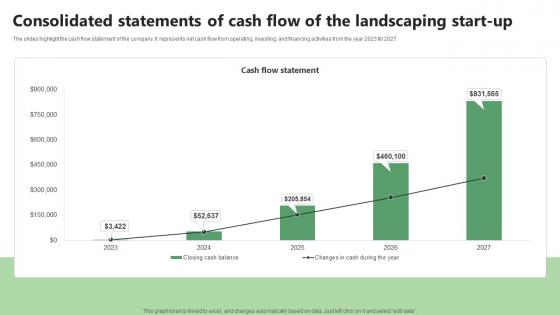 Consolidated Statements Of Cash Flow Of The Landscaping Start Up Lawn Care BP SS V