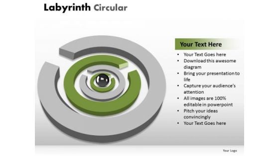 Consulting Diagram Labyrinth Circular Round Business Finance Strategy Development