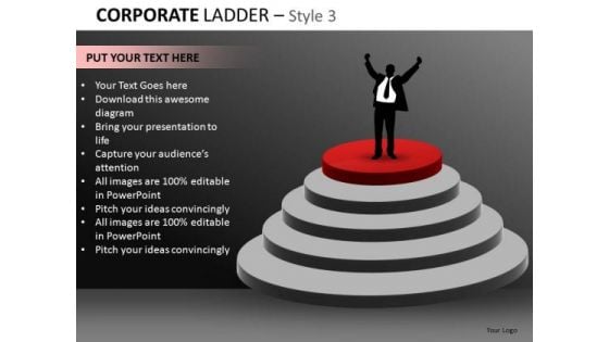 Corporate Ceo Business Ladder PowerPoint Ppt Templates