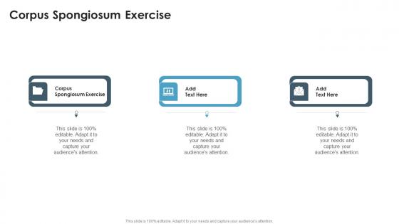 Corpus Spongiosum Exercise In Powerpoint And Google Slides Cpb