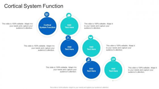 Cortical System Function In Powerpoint And Google Slides Cpb