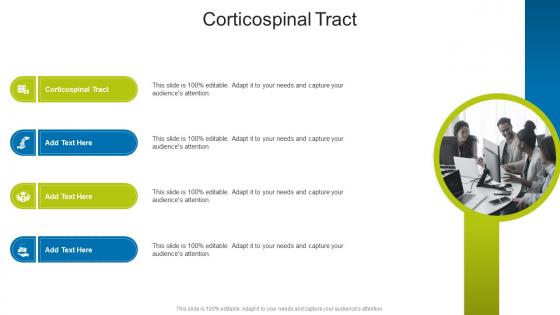 Corticospinal Tract In Powerpoint And Google Slides Cpb