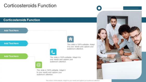 Corticosteroids Function In Powerpoint And Google Slides Cpb