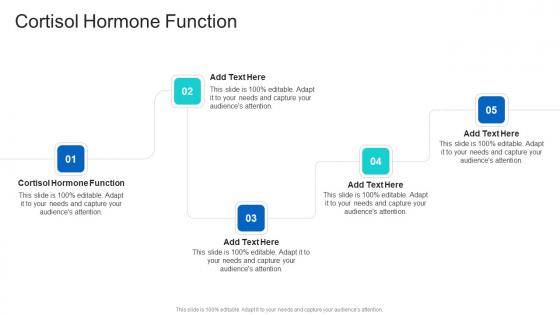 Cortisol Hormone Function In Powerpoint And Google Slides Cpb