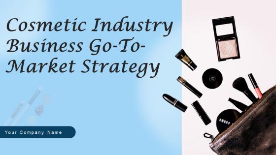 Cosmetic Industry Business Go To Market Strategy