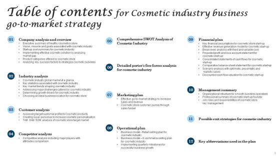 Cosmetic Industry Business Go To Market Strategy