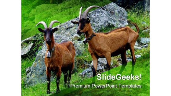 Couple Of Goats Animals PowerPoint Templates And PowerPoint Backgrounds 0111