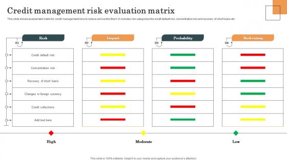 Credit Management Risk Evaluation Matrix Survey SS