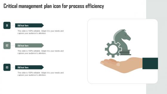 Critical Management Plan Icon For Process Efficiency Diagrams Pdf