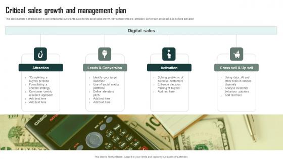 Critical Sales Growth And Management Plan Pictures Pdf