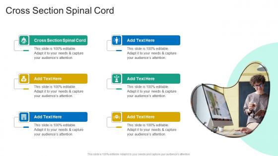 Cross Section Spinal Cord In Powerpoint And Google Slides Cpb