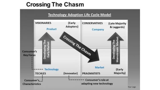 Crossing The Chasm Ppt 8