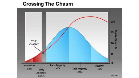 Crossing The Chasm Ppt 9