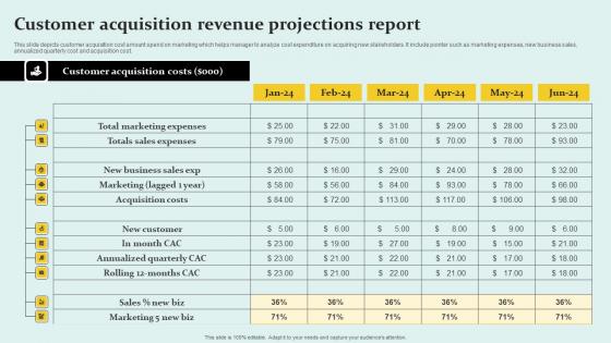 Customer Acquisition Revenue Projections Report Professional Pdf