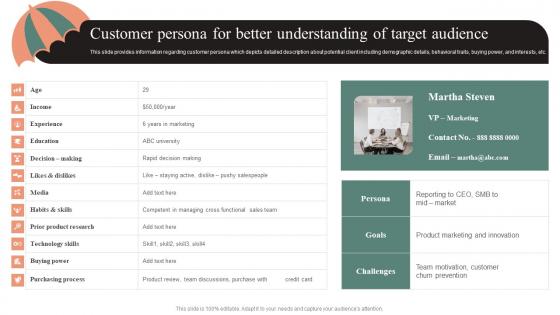 Customer Persona For Better Understanding Of Target Effective Brand Maintenance Elements Pdf