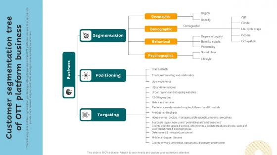 Customer Segmentation Tree Of OTT Platform Successful Guide For Market Segmentation Mockup Pdf