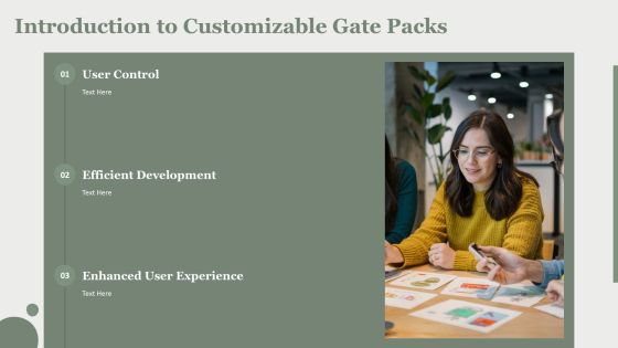 Customizable Gate Packs For User Interface Projects PPT Presentation AT Slide03