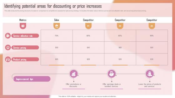 Customizing The Salon Experience Identifying Potential Areas For Discounting Or Price Increases Strategy SS V
